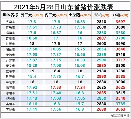 青岛今日生猪价格的相关长尾关键词有哪些