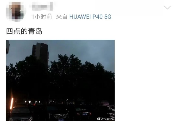 青岛泽雨事件的相关长尾关键词有哪些