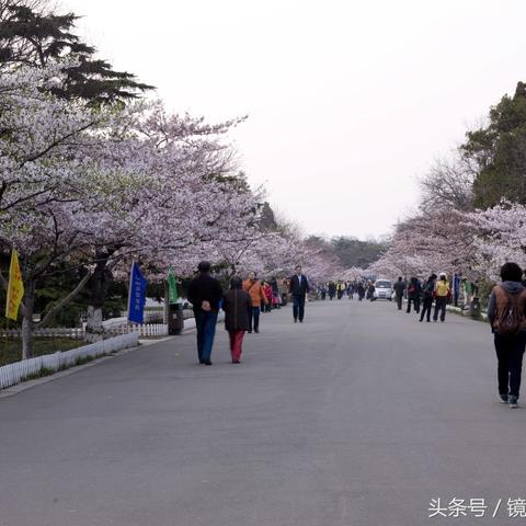 青岛带走美食的地方有哪些