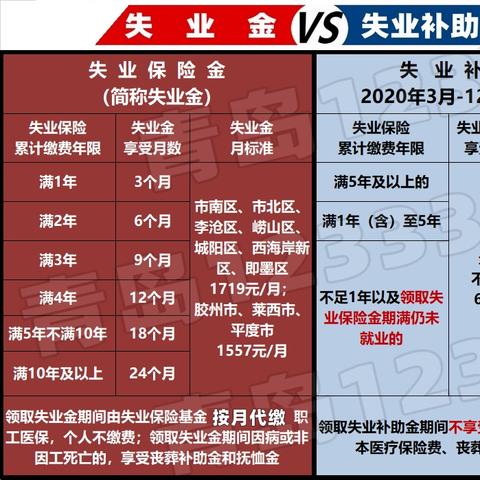 青岛失业金领取条件的相关长尾关键词有哪些