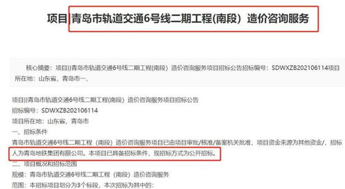 青岛投标项目有哪些