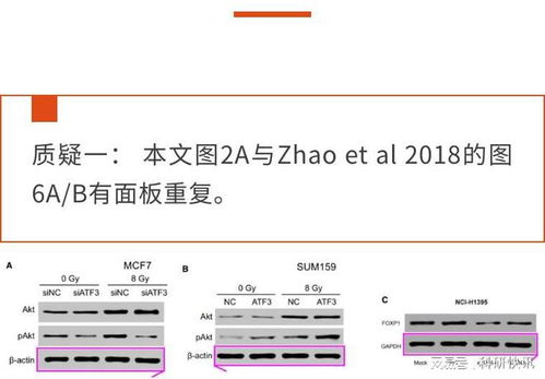 青岛大学邮箱的相关长尾关键词有哪些