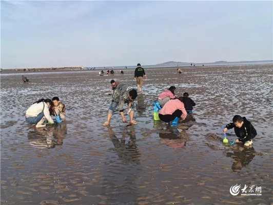 青岛小众赶海的地方？