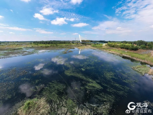 青岛周边湿地公园有哪些